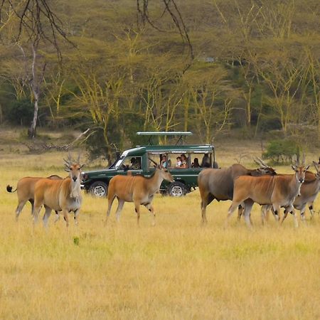 Lake Elmenteita Serena Camp Kültér fotó