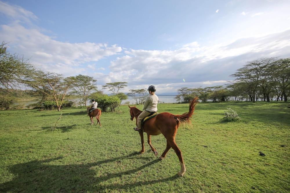 Lake Elmenteita Serena Camp Kültér fotó