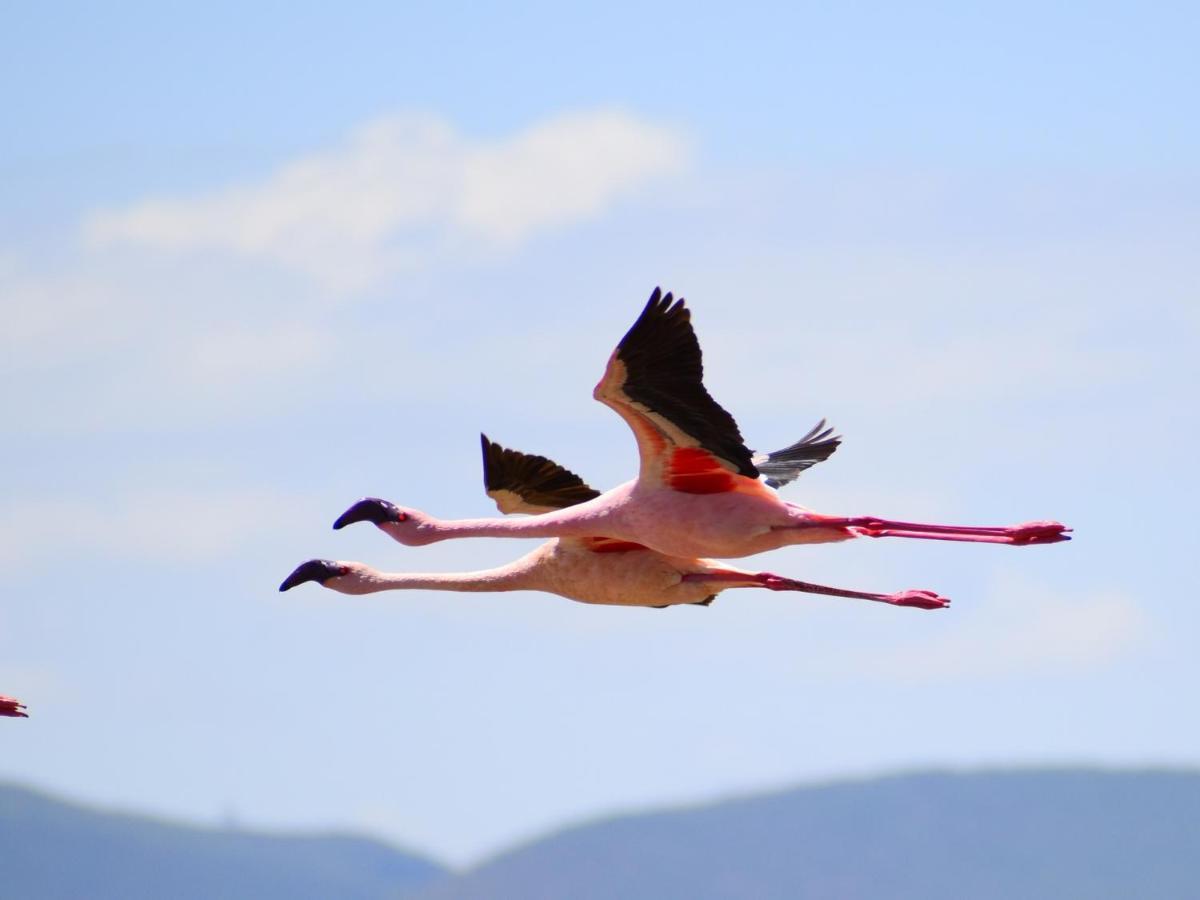 Lake Elmenteita Serena Camp Kültér fotó