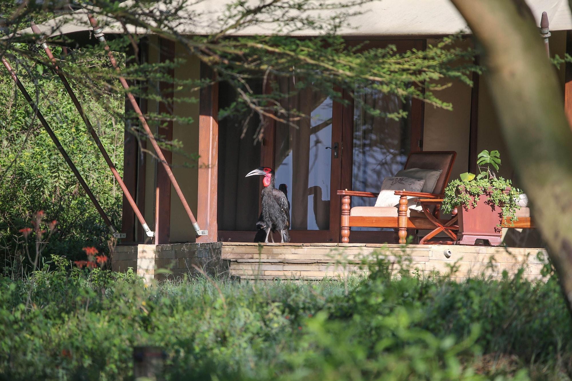 Lake Elmenteita Serena Camp Kültér fotó