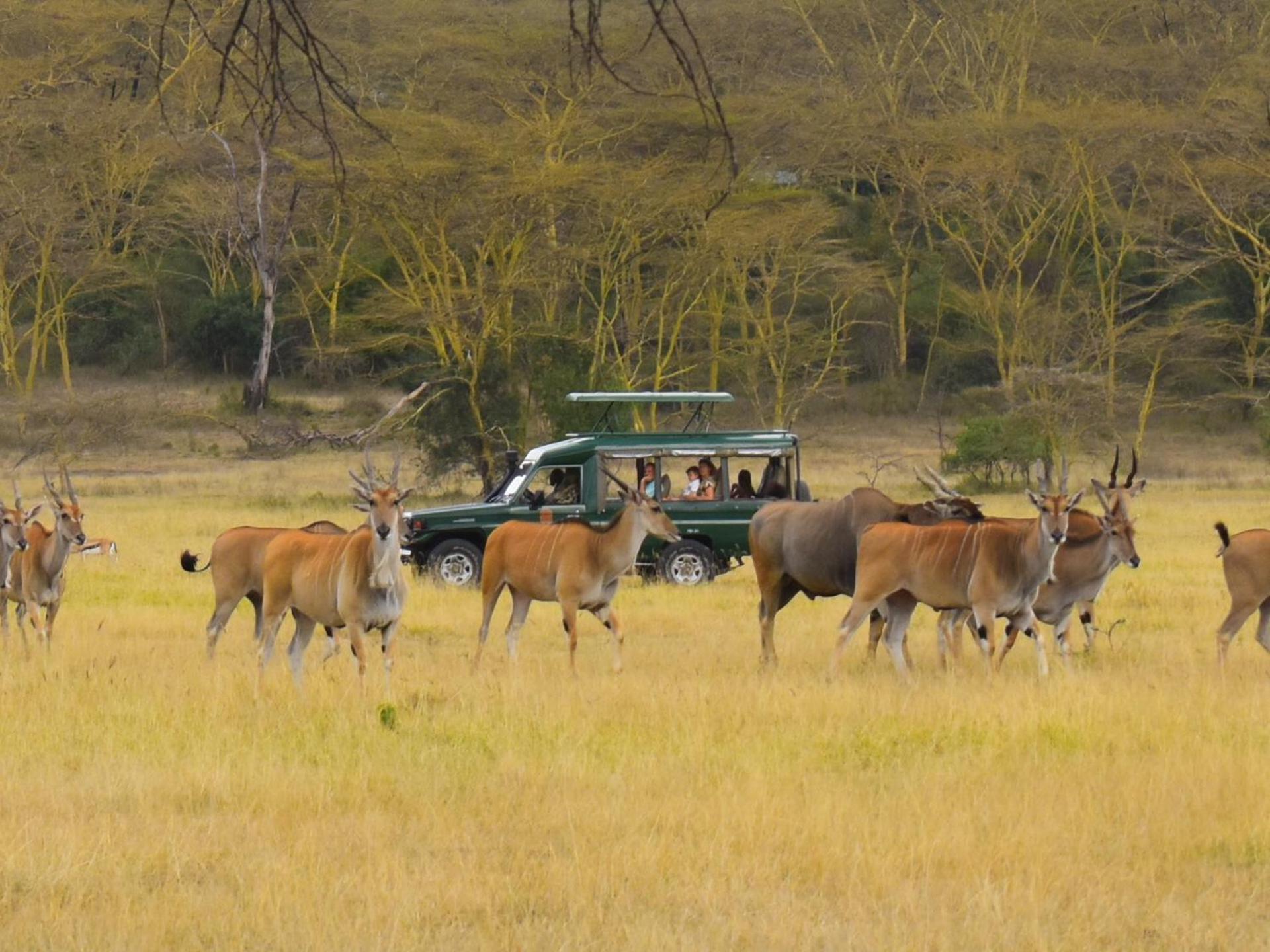 Lake Elmenteita Serena Camp Kültér fotó