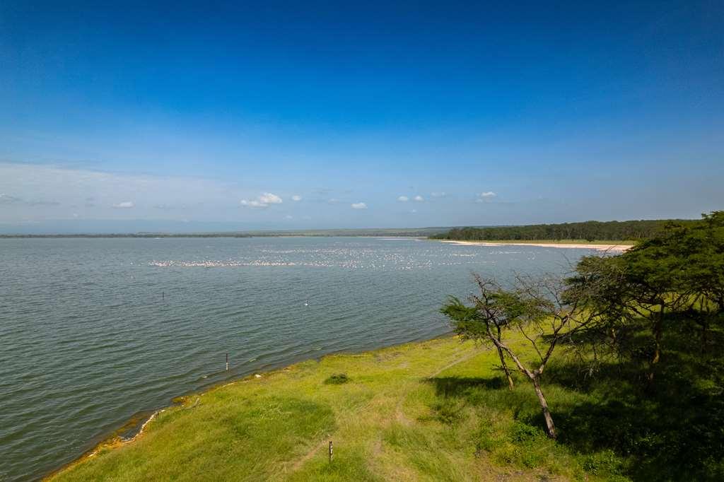 Lake Elmenteita Serena Camp Kültér fotó