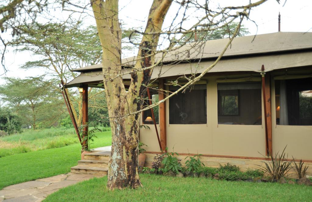 Lake Elmenteita Serena Camp Kültér fotó